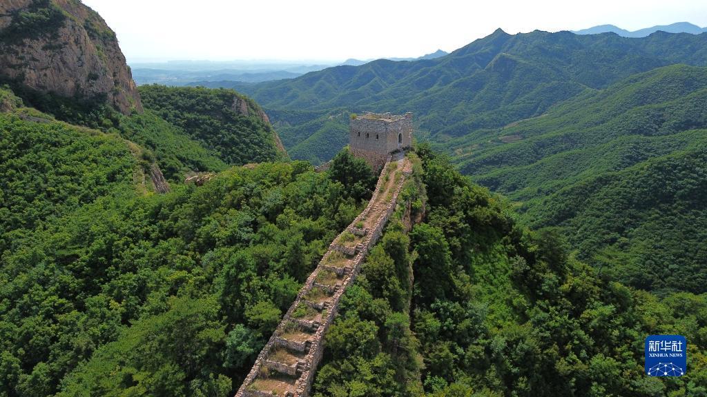 百家乐辅助